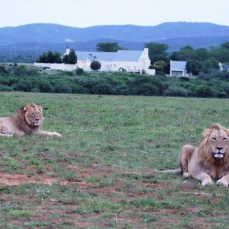 River Bend Lodge Addo Eksteriør billede