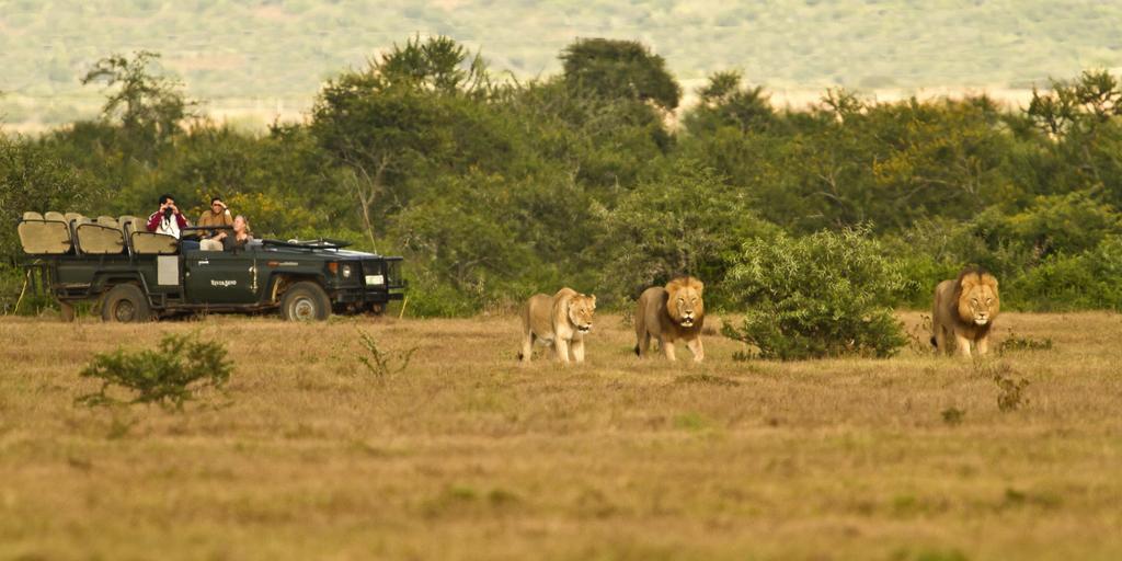 River Bend Lodge Addo Eksteriør billede