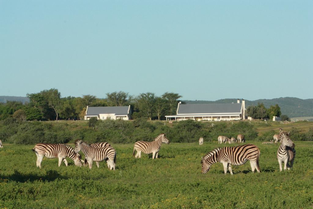 River Bend Lodge Addo Eksteriør billede