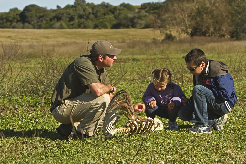 River Bend Lodge Addo Eksteriør billede